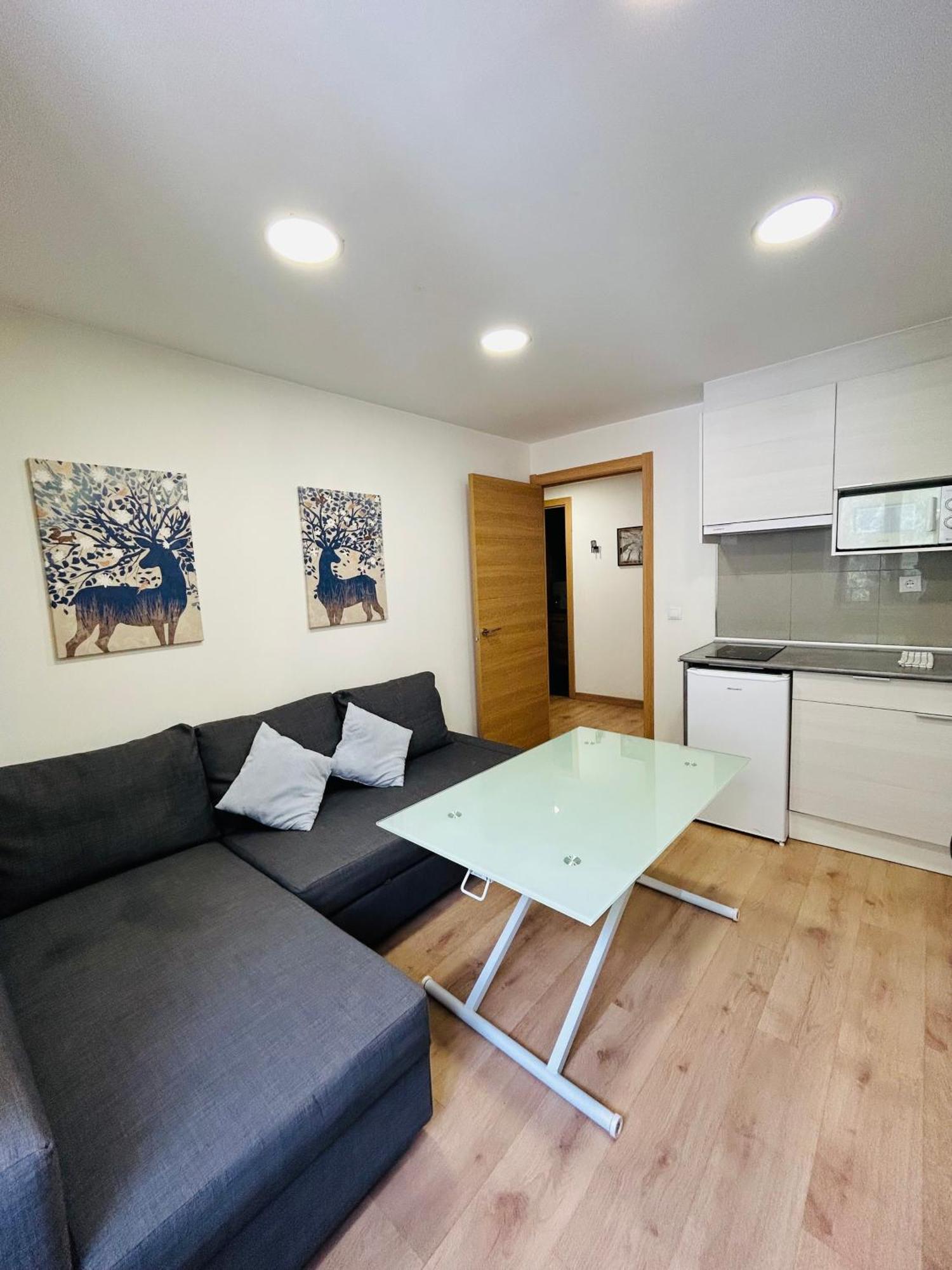 Apartahotel Canfranc Bagian luar foto